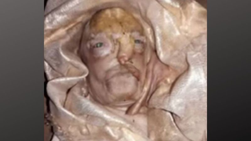 Berita trending terbaru dan berita viral terbaru : Bayi kambing mirip manusia sempat hebohkan masyarakat di India hingga dipuja layaknya dewa.