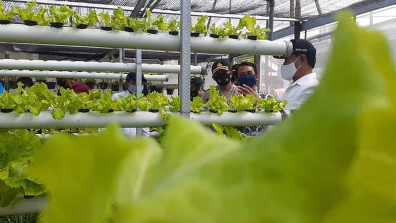 bisnis pertanian milenial