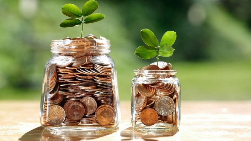 Tanaman pembawa kekayaan