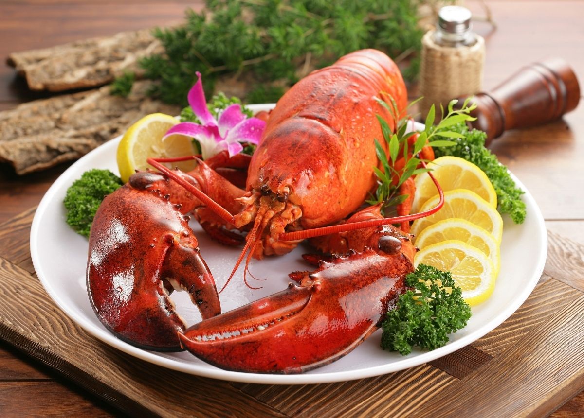 5 Fakta Unik Tentang Lobster, Kencing dari Wajah Hingga Berubah Warna Saat Dimasak 8 Lampiran Gambar