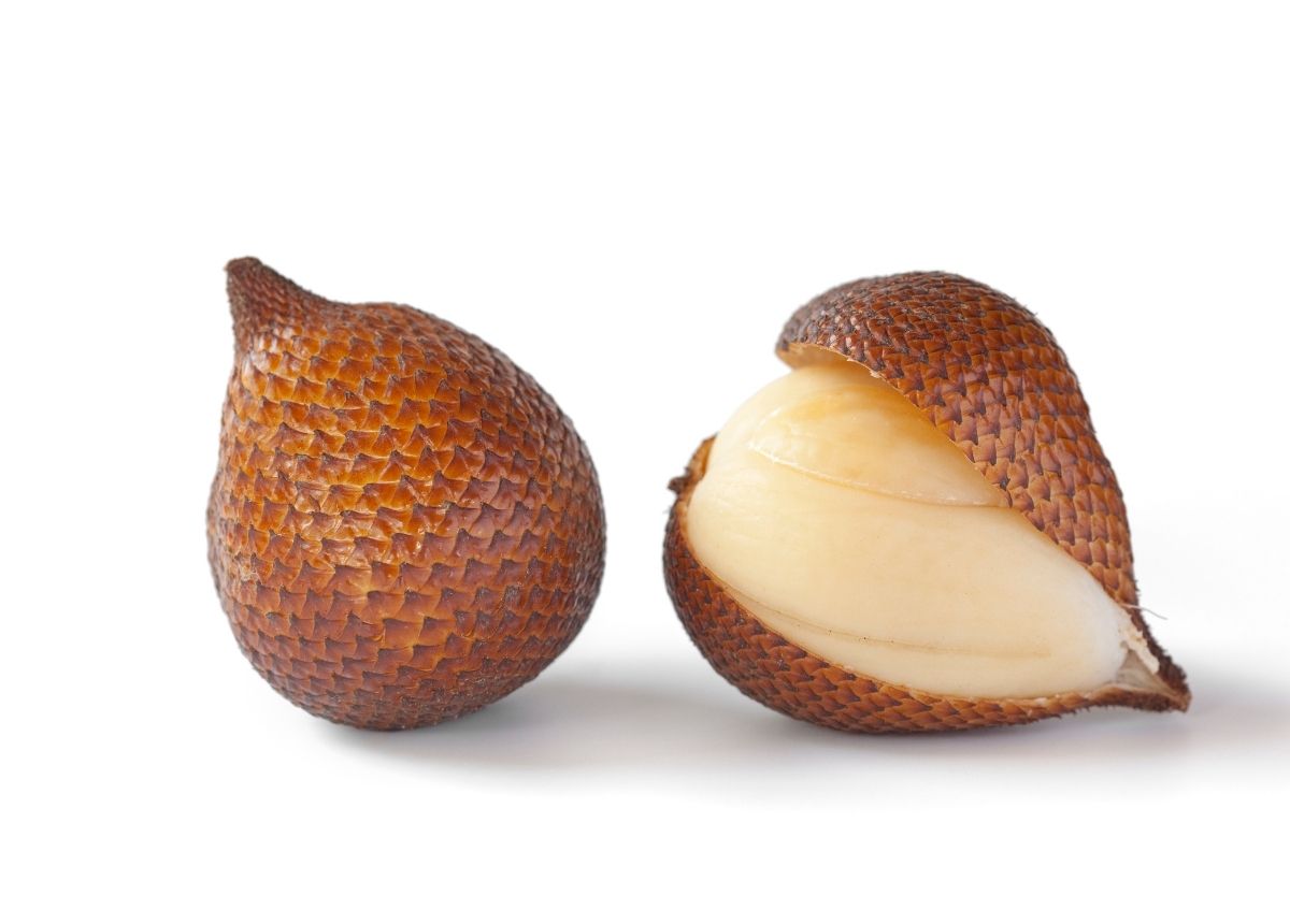 Berita terbaru hari ini: Jangan Konsumsi Buah Salak Saat Tubuh dalam Kondisi Seperti Ini