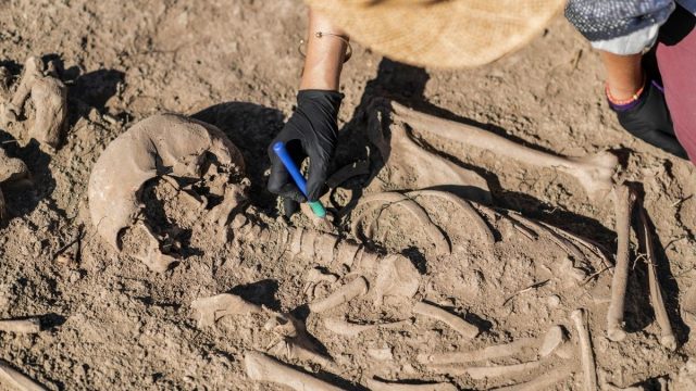 Nabi Adam Manusia Pertama