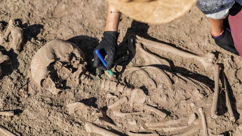 Nabi Adam Manusia Pertama