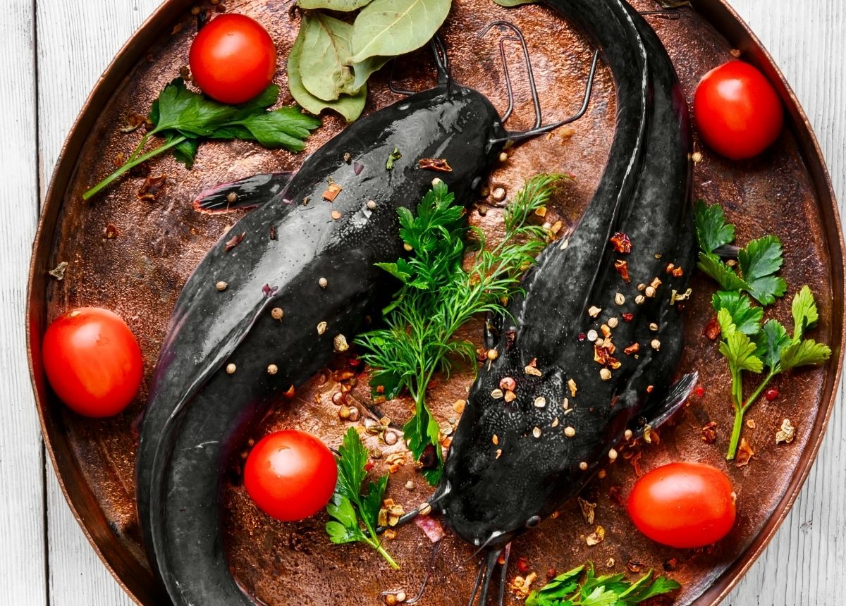 Ikan lele sering dianggap sebagai ikan yang kotor, karena memakan apapun. Namun, ikan lele banyak manfaat, kandungan gizinya sangat bagus untuk tulang dan otak.