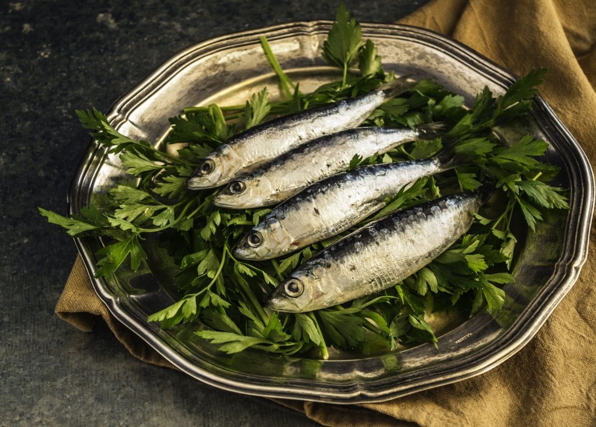 Manfaat makan ikan sarden