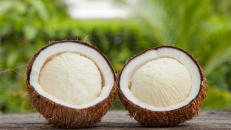 Berita terbaru hari ini: Manfaat kentos kelapa