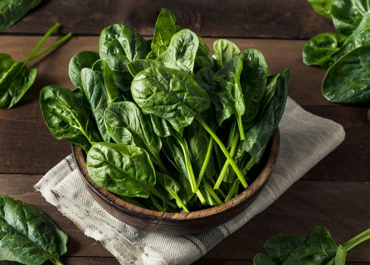 Makan Sayur Bayam Bakal Bikin Kamu Glowing 2 Sayur bayam adalah salah satu sayur yang kaya manfaat. Selain bagus untuk kesehatan mata, bayam sangat efektif untuk mengontrol gula darah hingga bisa bikin kulit jadi glowing.