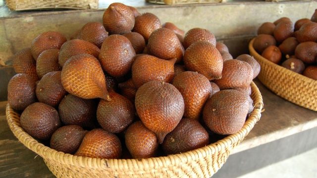Berita terbaru hari ini: Jangan Konsumsi Buah Salak Saat Tubuh dalam Kondisi Seperti Ini