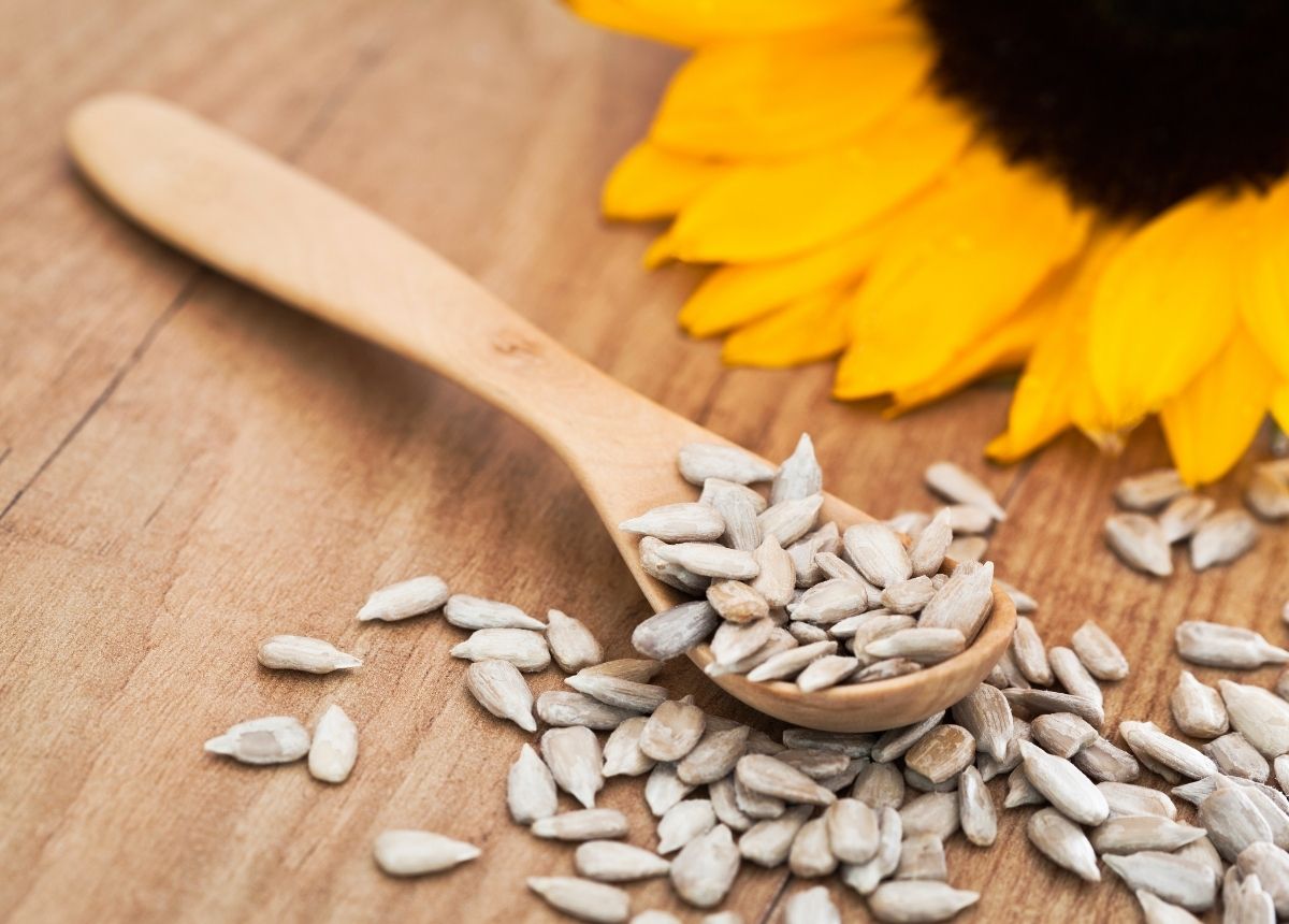 6 Makanan yang Bisa Menurunkan Kadar Asam Urat 9 Biji bunga matahari
