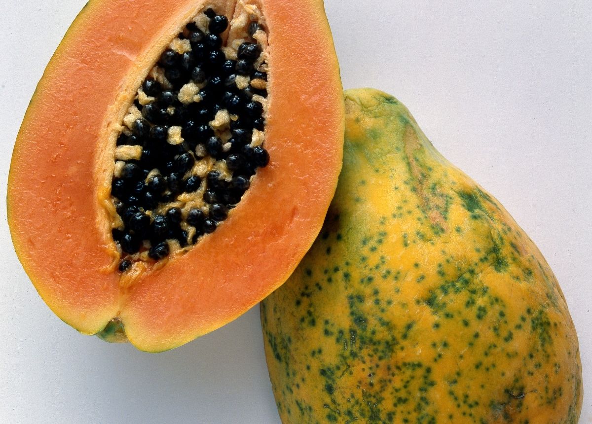 4 Jenis Buah Ini Sangat Cocok Dikonsumsi oleh Penderita Asam Lambung 8 Berita terbaru hari ini: Pepaya