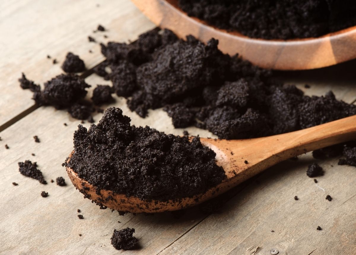 Usir Nyamuk dengan Menggunakan Bahan Alami Ini, Lebih Aman dan Praktis 14 Ampas Kopi