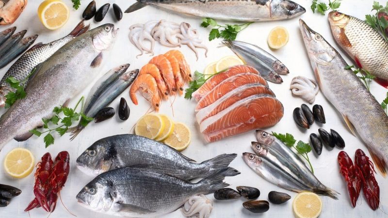 Berita terbaru hari ini: Ikan yang kaya manfaat