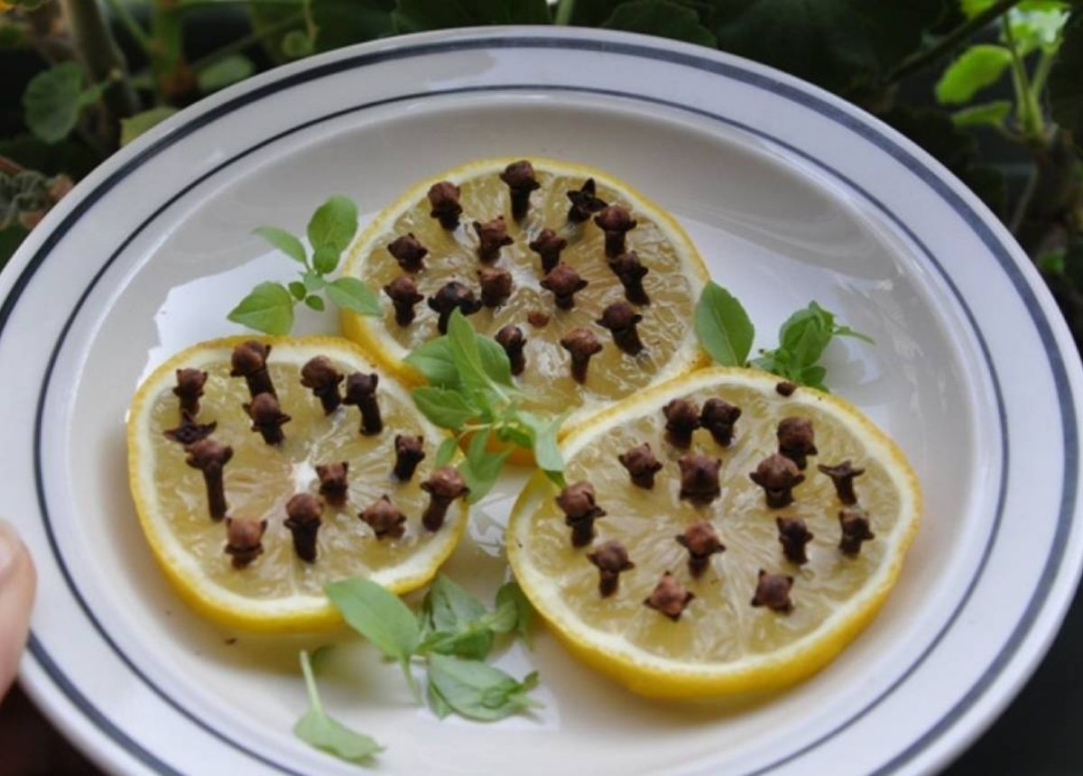 Perpaduan Jeruk, Lemon, dan Cengkeh