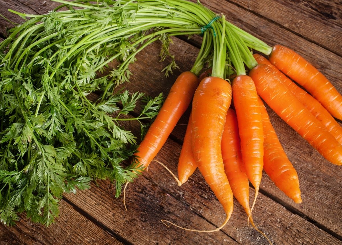 6 Makanan yang Bisa Menurunkan Kadar Asam Urat 12 Wortel