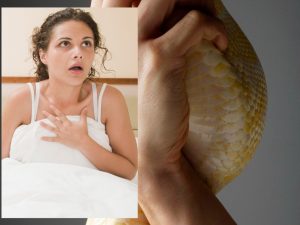 Berita terbaru hari ini: Arti mimpi dililit ular