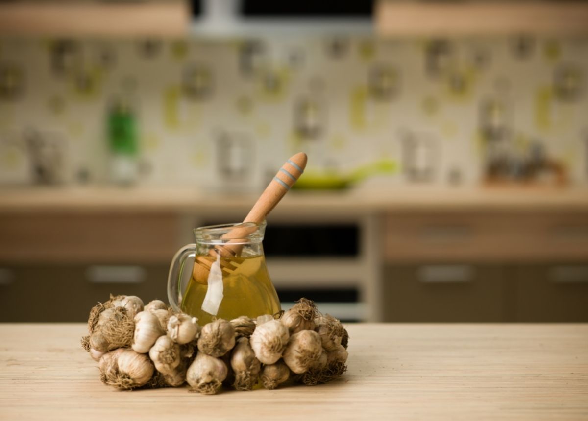 5 Tanaman Herbal yang Bisa Meningkatkan Daya Imun Tubuh 6 Kombinasi bawang putih dan madu ternyata memiliki banyak manfaat bagi tubuh, terutama untuk meningkatkan imun dan kekebalan tubuh.