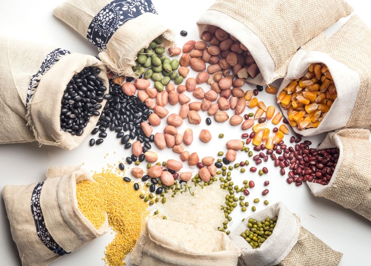 Manfaat ikan teri: Berita terbaru hari ini: Kaya Nutrisi