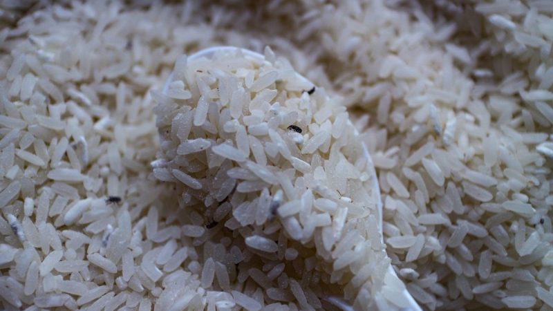 Berita gaya hidup, kesehatan, dan tips terbaru hari ini: Mengatasi kutu beras atau Sitophilus oryzae dapat dilakukan dengan beberapa bahan.