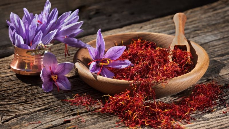 Berita terkini, terbaru, dan berita pilihan hari ini: Saffron adalah rempah termahal di dunia. Saffron tangkai putik bunga crocus sativus.