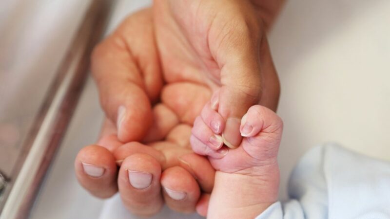 Berita terbaru: Pihak kepolisian berhasil ringkus pelaku yang sebabkan seorang siswa SMA melahirkan seorang diri di Kota Batam.
