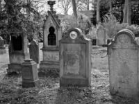 Berita terkini, terbaru, dan berita pilihan hari ini: Pengemudi Tesla dibuat ketakutan lantaran mobilnya diduga mendeteksi hantu ketika melewati kuburan.