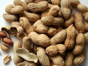 Info kesehatan: Kacang tanah banyak dipercaya orang menyebabkan timbulnya jerawat, ternyata ini penjelasannya.