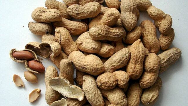 Info kesehatan: Kacang tanah banyak dipercaya orang menyebabkan timbulnya jerawat, ternyata ini penjelasannya.