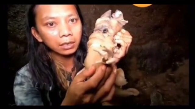 Berita Terbaru: Seorang pria berambut gondrong ini mengaku berhasil menangkap raja jin. Tidak hanya ditangkap, raja jin ini pun akhirnya dimakan