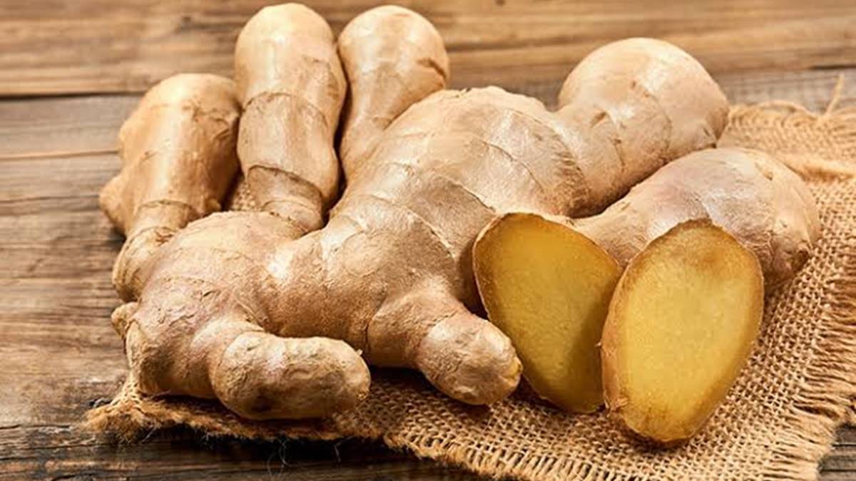 5 Ramuan Obat Herbal Alami Menurunkan Kadar Gula Darah 9 Lampiran Gambar