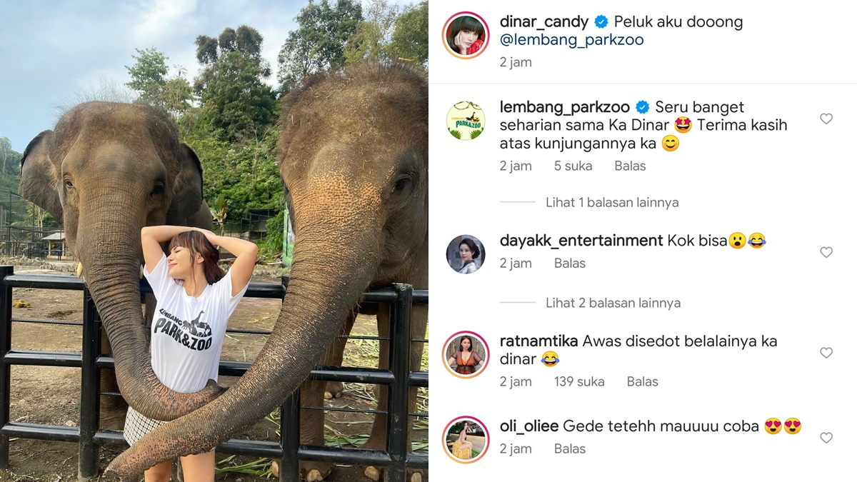 Main-main dengan Gajah, Dinar Candy Minta Dipeluk 2 Lampiran Gambar