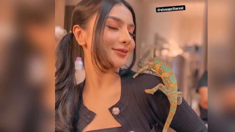 Berita artis: Siva Aprilian baru saja mengunggah sebuah potret cantik di laman Instagram pribadinya yang membuat netizen tampak salah fokus.