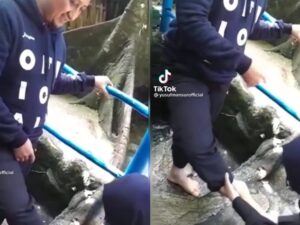 Berita artis: Ustaz Yusuf Mansur memvideokan anaknya, Wirda Mansur yang sedang mencuci kakinya lalu dipload ke media sosial.