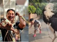 Berita artis: Irfan Hakim ditendang burung unta peliharaannya sendiri. Hingga mengakibatkan luka di bagian perut dan punggungnya.