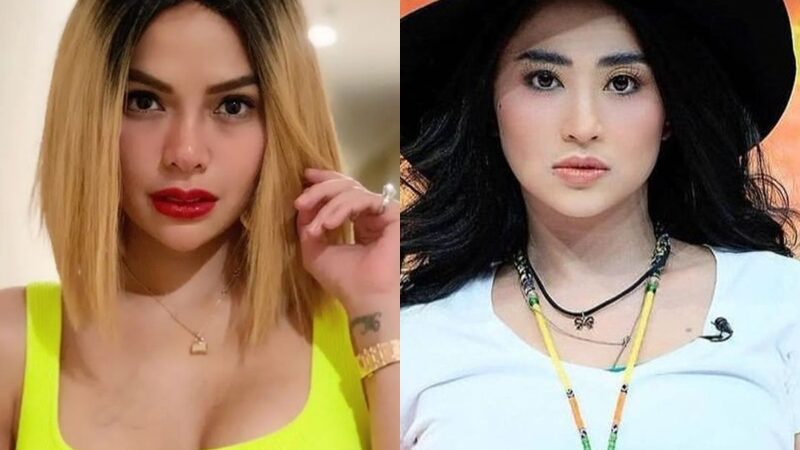 Berita artis: Dewi Perssik kembali meradang usai mendengar pernyataan Nikita Mirzani, ia lantas menantang Nikita untuk adu tinju di atas ring.
