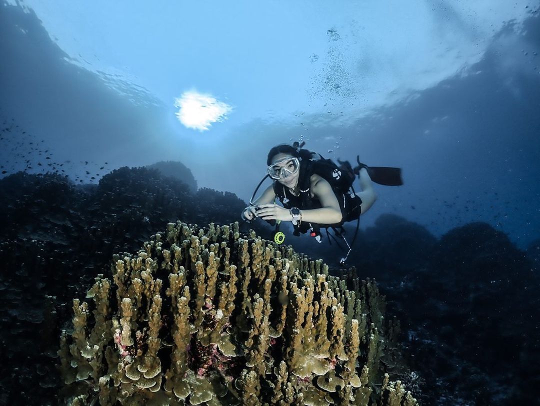 Gisela Anastasia Asik Snorkling di Sulteng 2 Lampiran Gambar