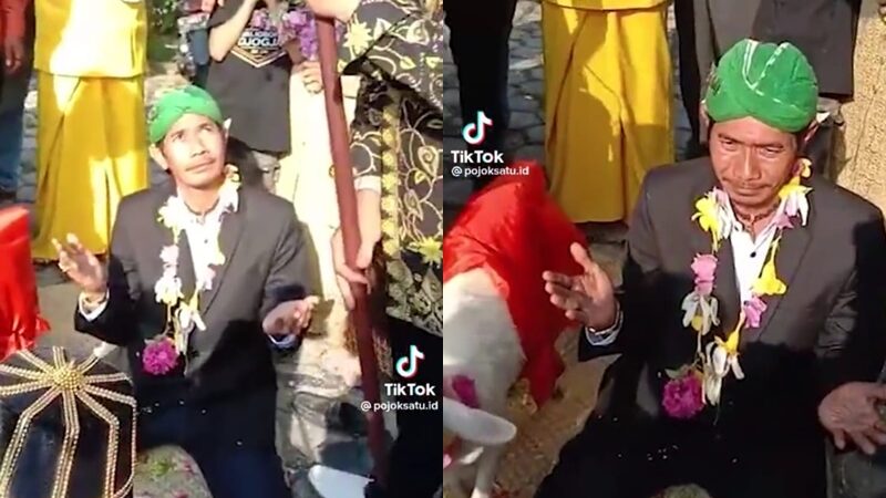 Berita terbaru: Seorang pria nekat menikahi seekor domba betina yang langsung hebohkan warganet di media sosial, Selasa (7/6/2022).