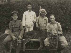 Harimau Sumatera adalah hewan buas yang pernah menguasai sebagian besar pulau Sumatera. Keberadaannya punah seiring arus modernisasi.