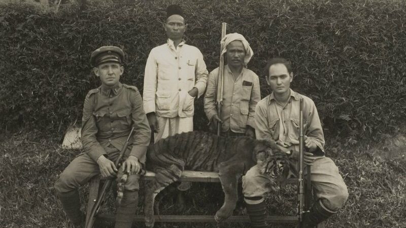 Harimau Sumatera adalah hewan buas yang pernah menguasai sebagian besar pulau Sumatera. Keberadaannya punah seiring arus modernisasi.