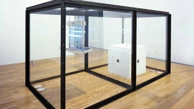 Instalasi seni kontroversial di sebuah museum Jerman ini dihapus karena dianggap melanggar hak lalat oleh kelompok pembela hak binatang.