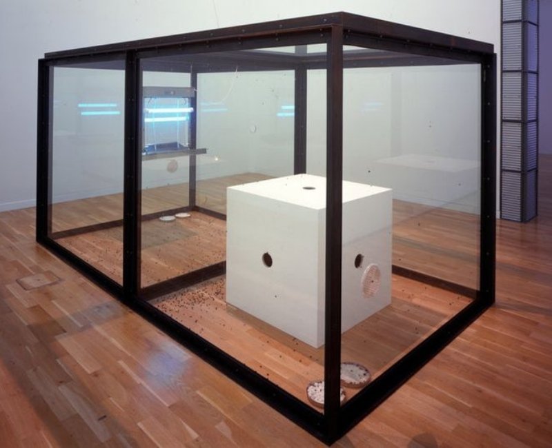 Diduga Melanggar Hak Asasi Lalat, Instalasi Seni Kontroversial Ini Dihapus 4 Lampiran Gambar