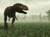 Penemuan spesies dinosaurus baru mengungkap alasan dibalik hewan purba tersebut mempunyai tengkorak besar namun bertangan kecil.