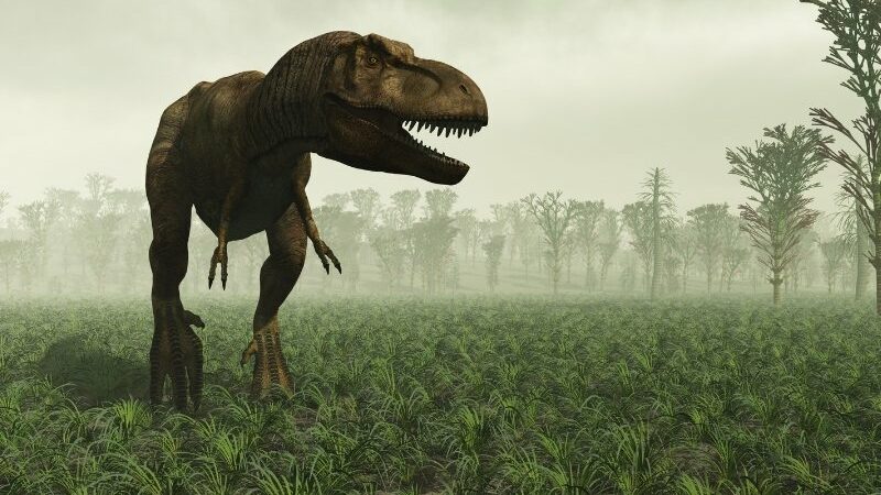 Penemuan spesies dinosaurus baru mengungkap alasan dibalik hewan purba tersebut mempunyai tengkorak besar namun bertangan kecil.