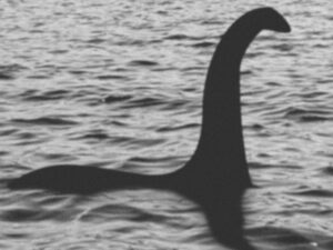 Peneliti berhasil menemukan fosil monster Loch Ness, Nessie. Namun mereka masih belum tahu alasan reptil laut ini bisa hidup di air tawar. [Foto: Mirror]