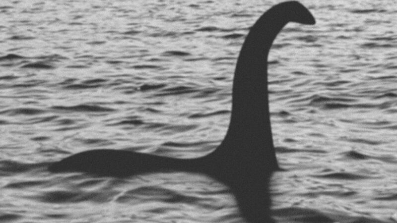 Peneliti berhasil menemukan fosil monster Loch Ness, Nessie. Namun mereka masih belum tahu alasan reptil laut ini bisa hidup di air tawar. [Foto: Mirror]
