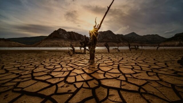 Miris! Inggris Alami Kekeringan Hingga Hasil Panen Berkurang Drastis