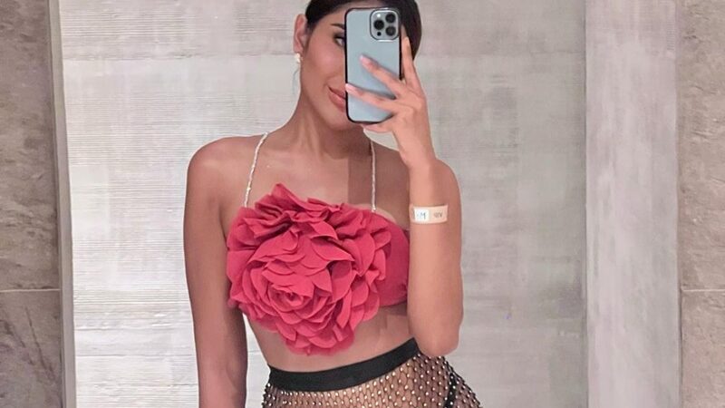 Saat tampil menggunakan bikini yang memperlihatkan auratnya, Millen Cyrus diduga telah mengganti alat kelaminnya.