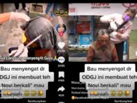 ODGJ dalam unggahan TikTok netizen disebut sudah 8 tahun tak melepas sarung yang menempel di kepalanya sehingga sulit dilepaskan.