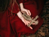 Pelet dalam ilmu perdukunan menjadi  hal yang diyakini oleh segelintir orang dapat membuat seseorang jatuh cinta dengan bantuan jin.