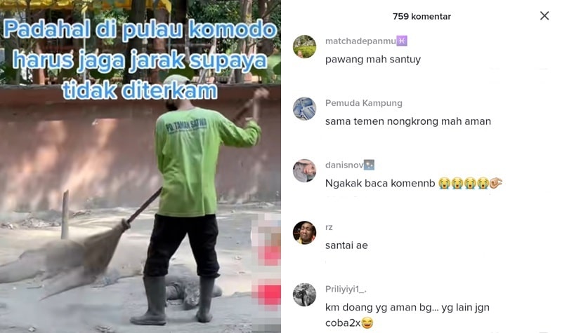 Pria Ini Dijuluki Dewa Komodo, Aksinya Santai Saat Menyapu Dekat Binatang Buas Jadi Sorotan 2 Lampiran Gambar