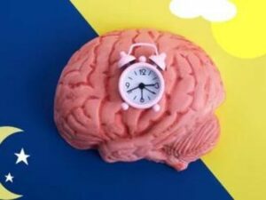 Cekricek.id - Tidur adalah salah satu aspek paling penting dari kesehatan fisik dan mental seseorang. Tidur tidak hanya memungkinkan tubuh kita untuk beristirahat dan mengisi ulang energi, tetapi juga dapat membantu kita mengelola stres. Secara keseluruhan, tidur memainkan peran utama dalam pertumbuhan, perkembangan, kelangsungan hidup, dan kesejahteraan.